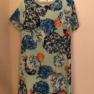 J.Crew shift dress